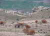 P1020335.JPG
