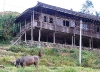 P1150168