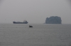 DSC_9391.JPG